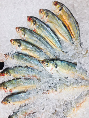 Fresh fish on ice in the market, Thailand