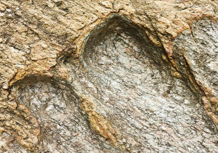 texture of stone wall, close up shotの写真素材