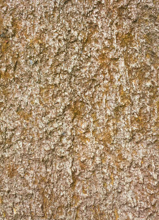 texture of stone wall, close up shotの写真素材