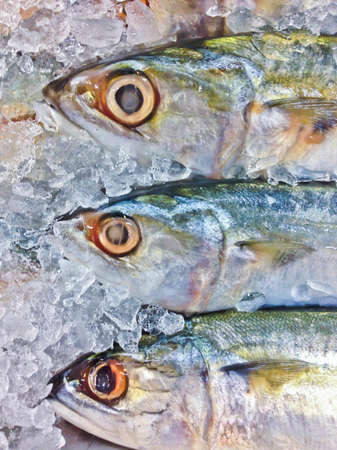 Fresh fish on ice in the market, Thailandの写真素材