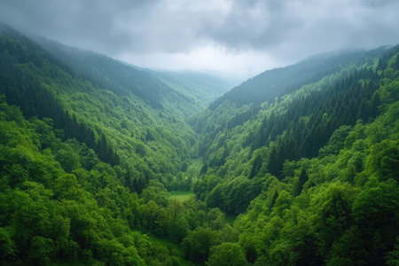 A panoramic view of the Black Forest, with its dense forest and rolling hills stretching as far into the distance as one can see from an aerial perspective. The trees in various shades of green create a lush canopy that envelops everything below it. There is no human presence visible in any part of these magnificent woods, only nature taking over every corner of them. This scene conveys a sense of tranquility and solitude, with no signs of people or civilization --chaos 30 --ar 3:2 --quality 2 --stylize 250 --v 6.1 Job ID: b95cf484-d5c7-443b-a8ad-ec4d38c04ea1の素材