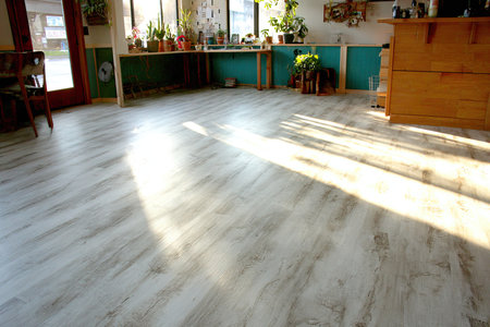 Sunlight illuminates a room with light-colored wood flooring and indoor plants.の素材