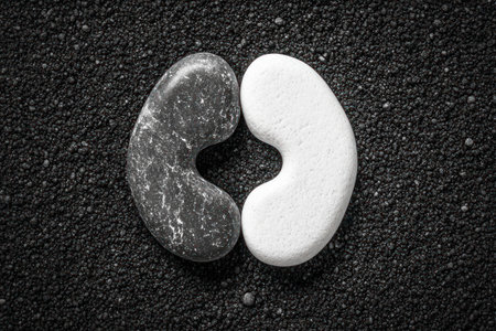 Black and white stones arranged in a yin-yang shape on black sand, symbolizing balance or harmony, zen garden background. Minimalistic, with copy space, a banner with an area for text, a concept of meditation, relaxation, and the idea of work-life balance. Top view. High detail, in a super-realistic photography style, high resolution, stock photo, photorealism. --ar 3:2 --v 6.1 Job ID: 696c04d2-0d53-433e-8bab-79117e293084の素材