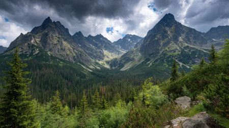 Rugged mountain range with a lush forest below under a cloudy sky.の素材