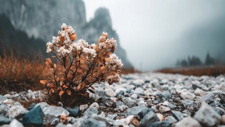 Small cluster of pale white flowers and dried brown leaves sits atop a bed of various sized stones. The focus is on the flowers and their surroundings.の素材