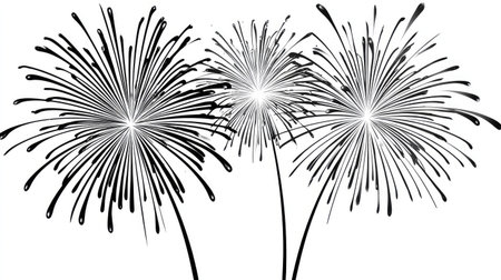 A graphic illustration of three black and white fireworks exploding.の素材