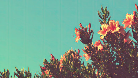 Coral flowers and foliage against a soft teal sky.の素材