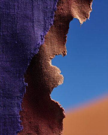 Torn fabric pieces with rough edges against a bright sky background.の素材