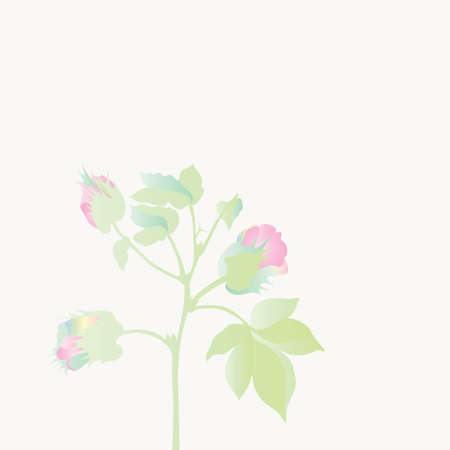 plant blossomingのイラスト素材
