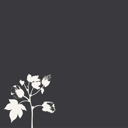 cottonのイラスト素材