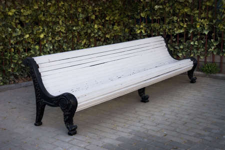 White bench in a shadowの写真素材