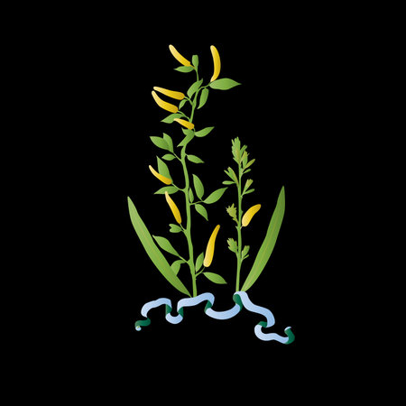 two stems of grass on a black background