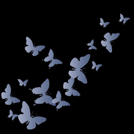 flashing of silver wide wings in the nightのイラスト素材