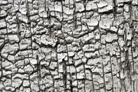 white  texture