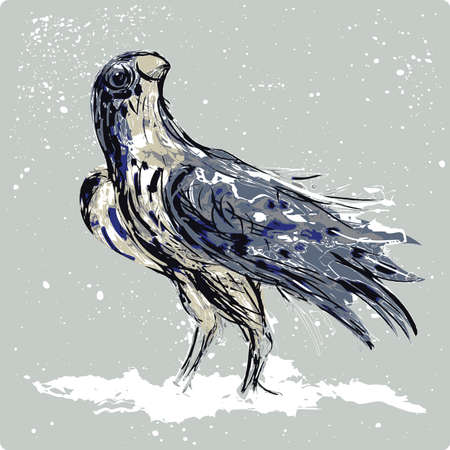 Falcon landed on a snowのイラスト素材