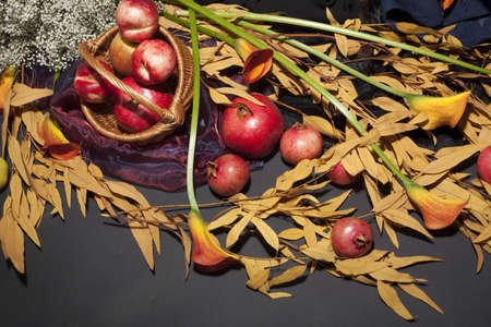 Autumn Still Life on a blackの写真素材