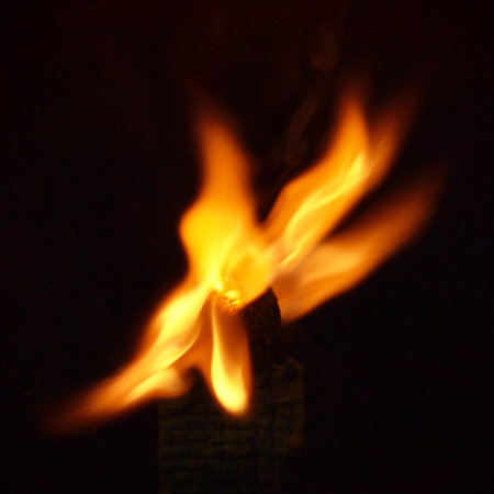 skull in flames