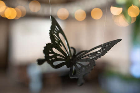 accessory butterfly for room decor suspended from the ceilingの写真素材