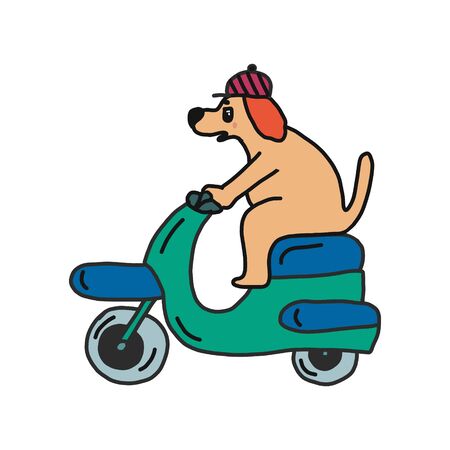 ??????funny dog in a bright cap rides a scooter. illustration isolated on a white background. suitable for children's items and postersのイラスト素材