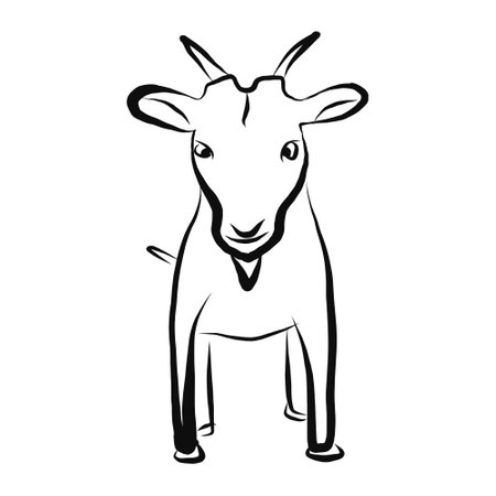 Farm pet goat sketch drawn by hand, cattle, milk and goat meat, one farm horned animal on a white background, vector illustration livestock, farm animal, sketch iconのイラスト素材