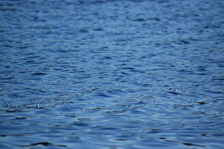 Concept: View of the calm sea, waves, tranquility, transparent and relaxing. Environmentの写真素材