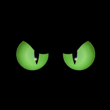 Green eyes in the dark, special for scary illustrations, halloween. Animal in the dark.の写真素材