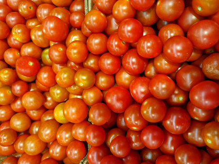 Close up of red cherry tomatoesの写真素材