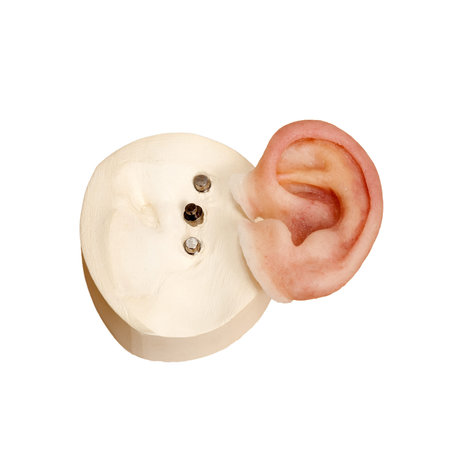 Silicone made artificial human ear with magnetic locks isolated on white background. Magnetic locks...