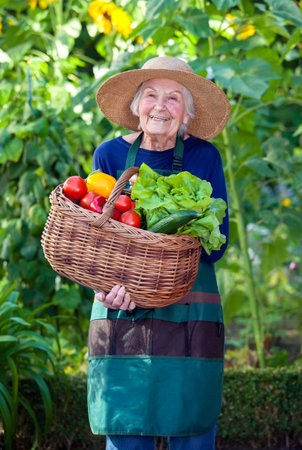 Portrait of a Senior Woman in Gardening Outfit with Basket of Healthy Fresh Vegetables at the Garden...