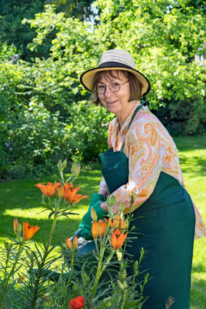 Smiling friendly lady wearing glasses, a straw sunhat, apron and gloves standing watering plants in the garden with a watering can against a lush green backgroundの写真素材