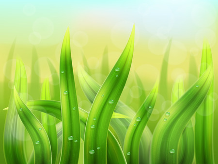natural , grass macroのイラスト素材