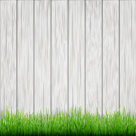 green grass on white wood boards backgroundのイラスト素材