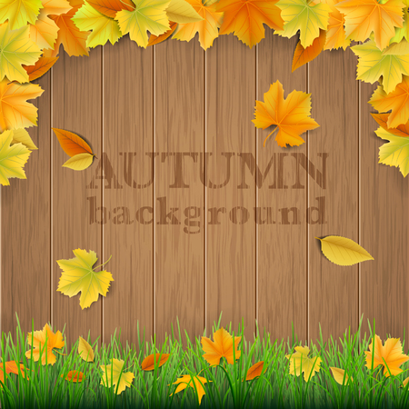 Autumn vector background with fallen leaves, green grass and wooden boards.のイラスト素材
