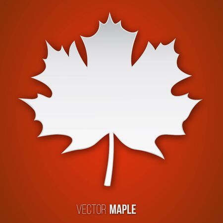 Maple leaf in a realistic style of paper on a red background.のイラスト素材