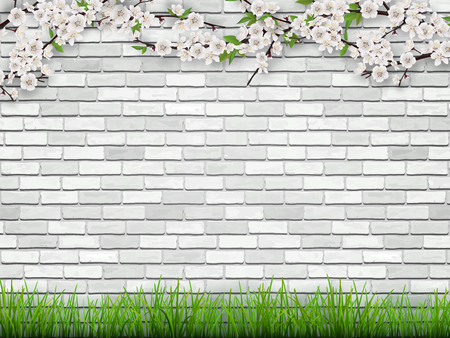 Blooming tree branch with flowers and green leaves on white brick wall background. The grass in the foreground. Spring vector background.のイラスト素材