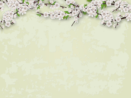 Flowering branches of a tree on the background of a stucco wall. Vector blank for spring illustration.のイラスト素材