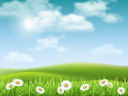 Rural hilly landscape with daisies in the foreground. Vector nature background.のイラスト素材