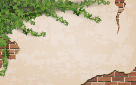 Ivy on weathered wall background with brick masonry.  Vector realistic illustration.のイラスト素材