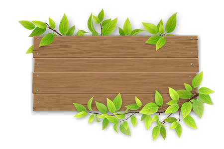 Empty wooden sign with space for text on a background of tree branches with green leaves. The template for a banner or an advertisement for a seasonal discount.のイラスト素材