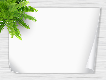 A houseplant in a pot stands on a wooden table and a sheet of white paper. Fern bush. Top view.のイラスト素材