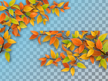 Set of realistic vector tree branches with autumn leaves. Yellow and red foliage. Element of natural design. Isolated on a transparent background.のイラスト素材