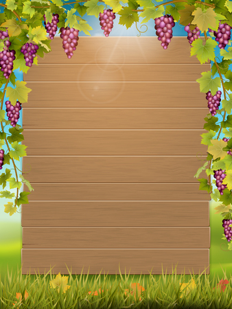 Wooden signboard decorated with grape bunch on autumn landscape background. Template for the harvest festival card or invite.のイラスト素材