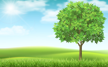 Tree on country spring landscape background. Green meadow and blue sky. Natural landscape with a calm beautiful scene.のイラスト素材