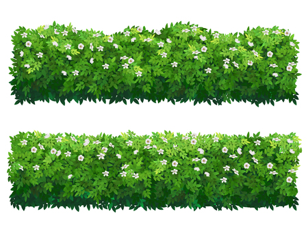 Green flowering fence boxwood shrubs. Set of bushes of different shapes isolated. Ornamental plant for decorate of a park, garden or a green fence. Foliage for spring and summer card design.のイラスト素材