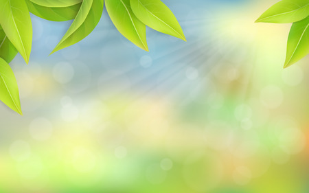 Green juicy leaves on a blurredのイラスト素材