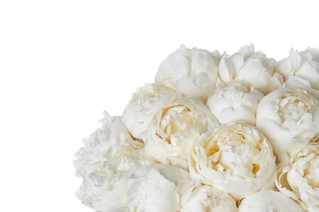 Background with beautiful bouquet of flowers peonies. White peonies on white background, isolated. Design for greeting card or invitation.の写真素材