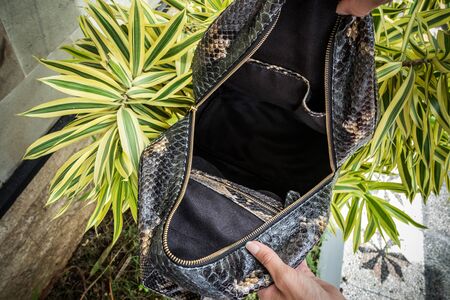 Stylish young woman in red dress with leather snakeskin python rucksack in the asian garden. Tropical Bali island, handmade snakeskin luxury backpack.の写真素材