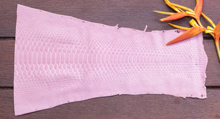 Python snakeskin leather, python skin. Small piece on a wooden background.