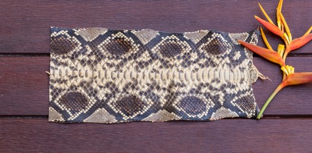 Python snakeskin leather, python skin. Small piece on a wooden background.の写真素材