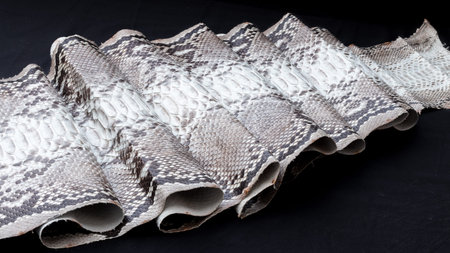 Genuine Python snakeskin leather, snake skin, texture, animal, reptile on a black background.
